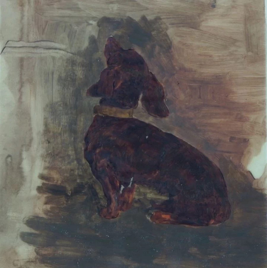 Cane bassotto